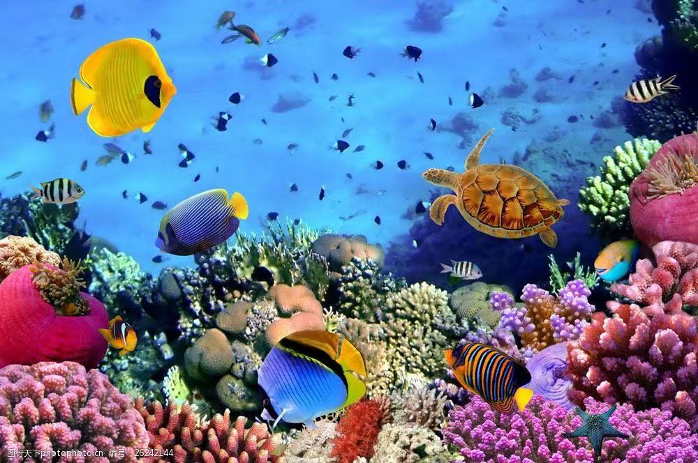世界海洋日特别活动——制作海底世界立体画