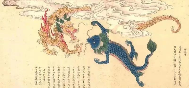 航海职业之旅——海洋神兽奇遇记：从神话到现实的奇幻之旅